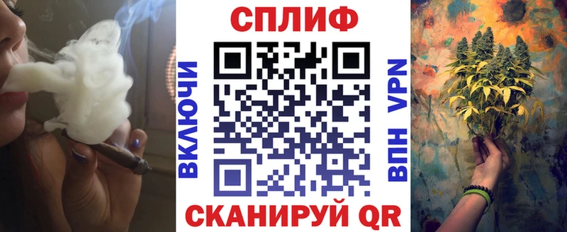 Купить закладку Бошки Шишки  COCAIN  ГАШ  Псилоцибиновые грибы  МЕФ  Снежногорск