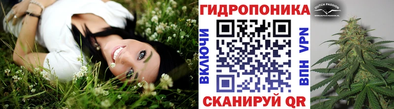 Бошки марихуана White Widow  Купить  Снежногорск 